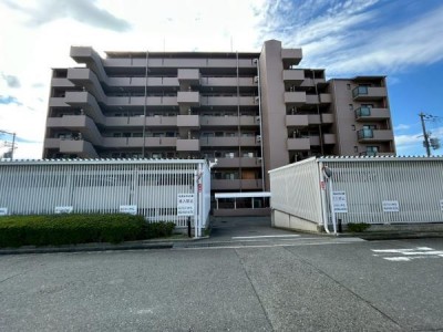 この街の住まいのご相談は、信頼度地域No.1のプロフェッショナル<br>センチュリー21オオトリーハウスにお任せ下さい。 角部屋なので、お子様が遊んでいても隣を気にしなくて大丈夫
眺望良好　閑静な住宅街　公園目の前